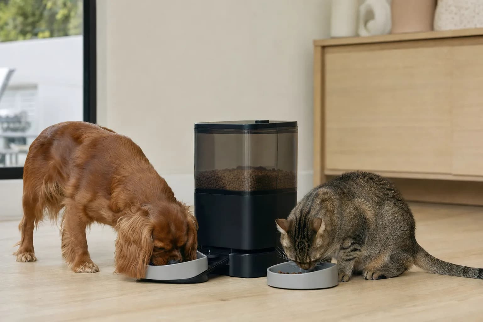 Distributeurs Multi-Chats/Chiens