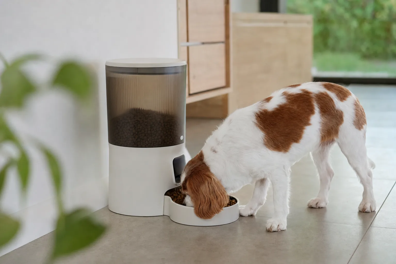 Les avantages d'un distributeur automatique pour le bien-être de votre chien — Un contrôle précis des portions pour éviter l'obésité
