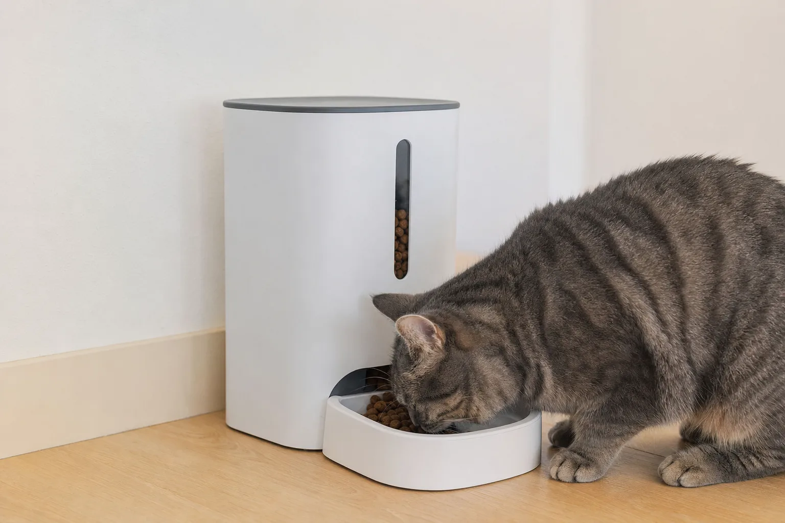 Comparatif : Distributeurs de croquettes en plastique ou acier inoxydable ? — Durabilité et Entretien : Plastique vs Acier Inoxydable