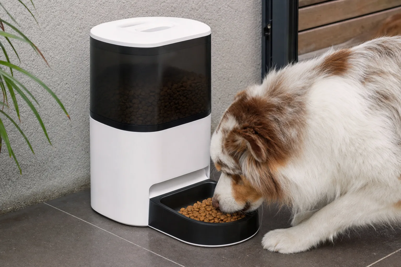 Critères essentiels pour choisir un distributeur automatique de croquettes — Facilité de Nettoyage : Un Critère Souvent Négligé