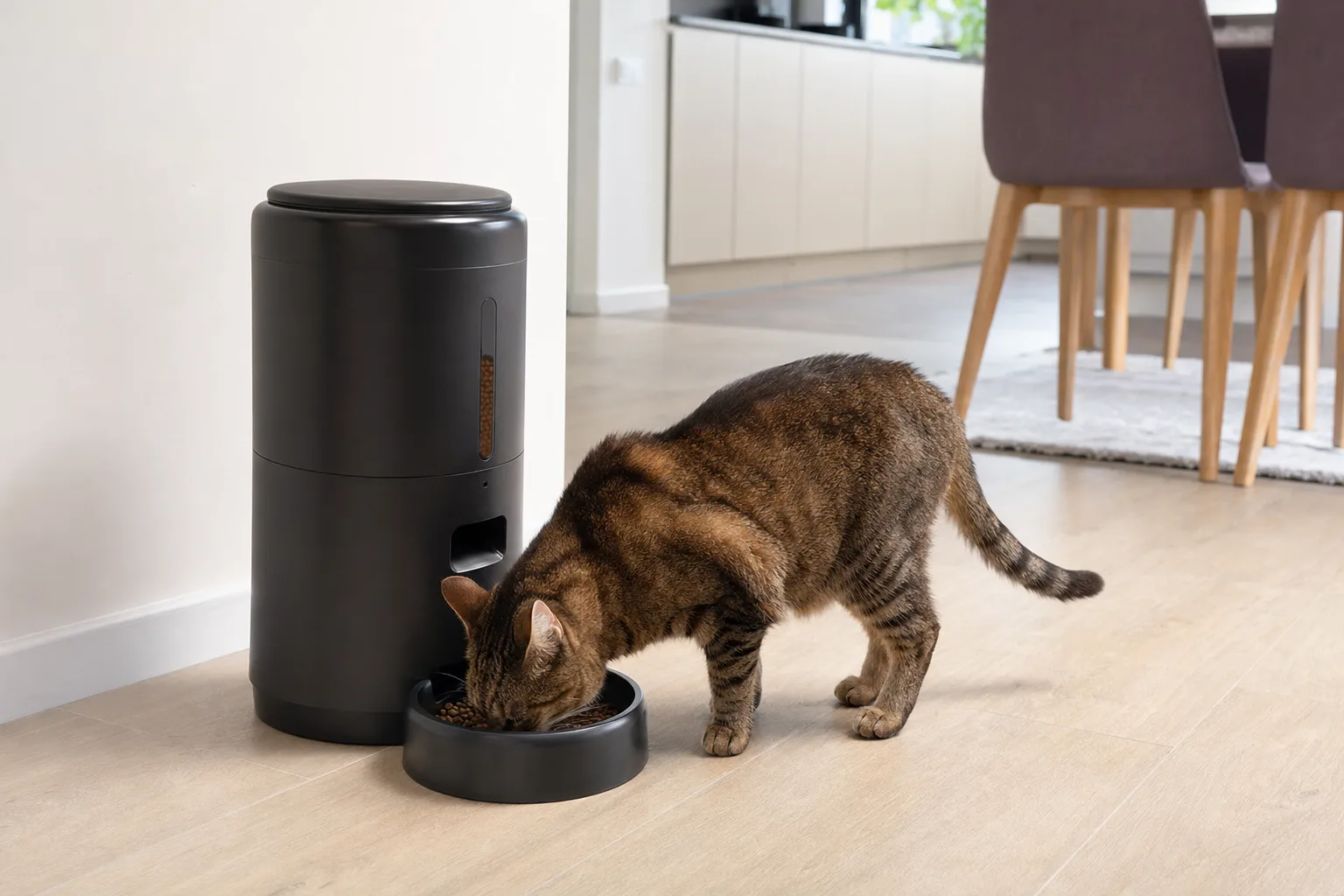 Les distributeurs de croquettes adaptés aux animaux âgés — Fonctionnalités clé pour un distributeur adapté aux seniors