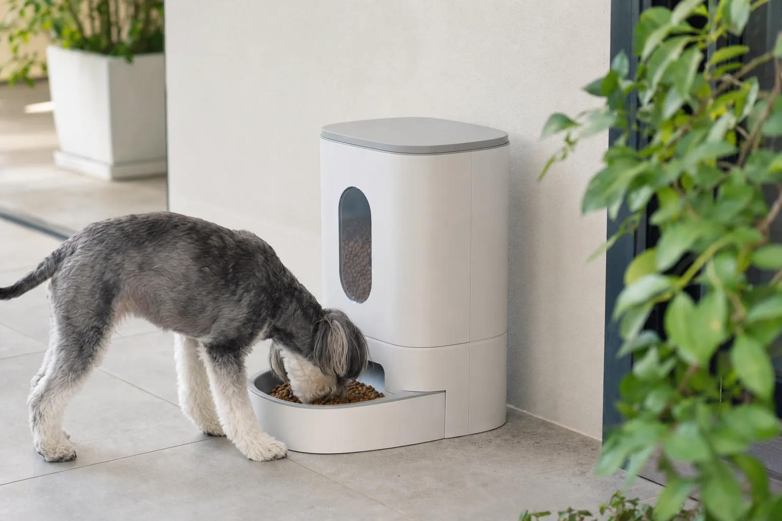 Les distributeurs de croquettes adaptés aux foyers avec plusieurs animaux — Critères Clés pour un Distributeur Efficace