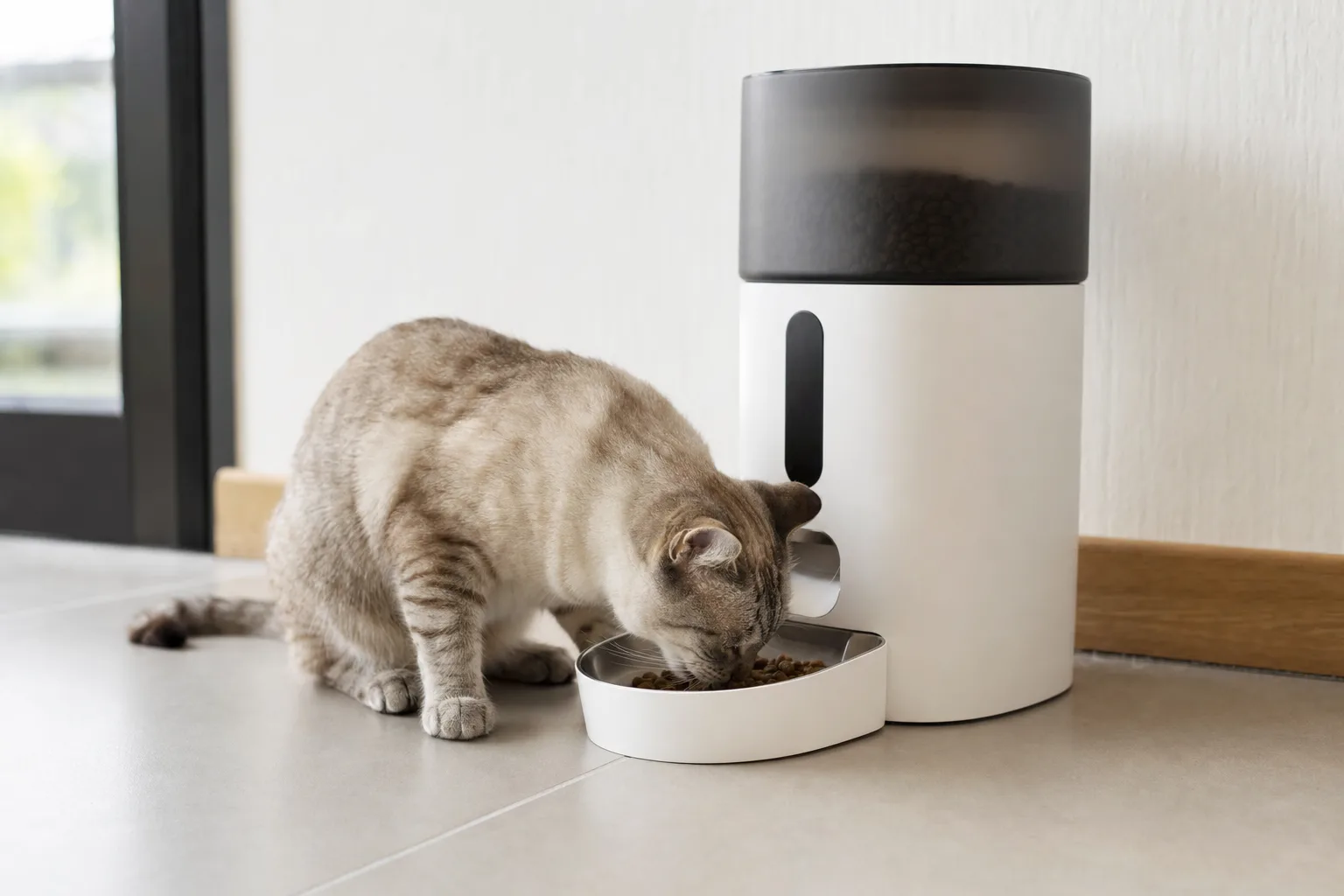 Meilleur distributeur de croquettes pour chiens de grande taille — Critères Essentiels pour Choisir un Distributeur de Croquettes Approprié