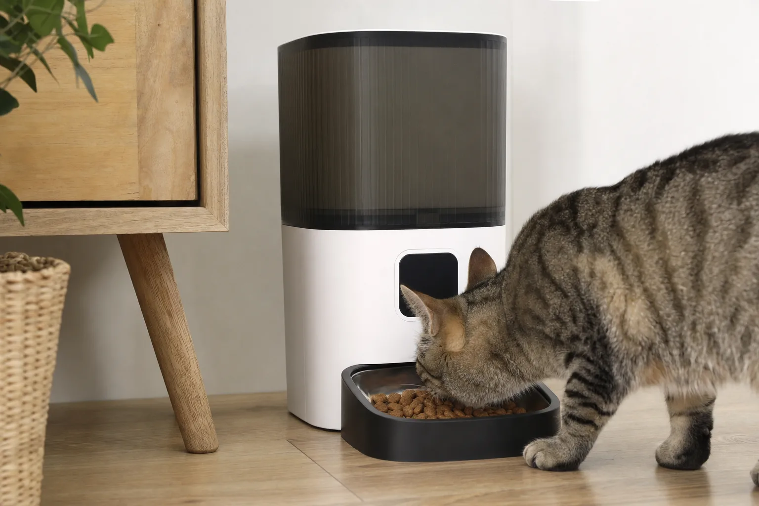 Top 5 des distributeurs de croquettes pour animaux gourmands — Les erreurs courantes à éviter lors de l'achat d'un distributeur de croquettes